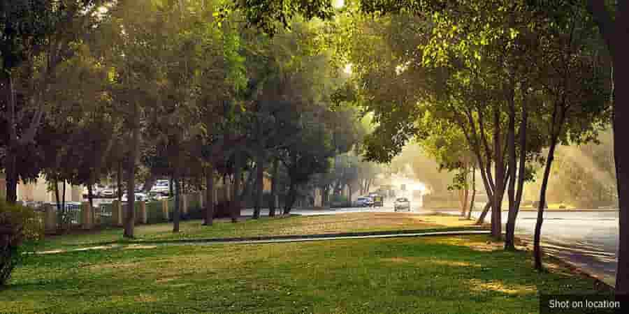 Hiranandani_Estate_Aralia_Walking_Street