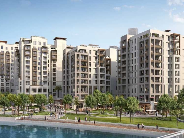 Mangrove at Dubai Creek Harbour