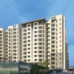 Prestige-Willow-Tree